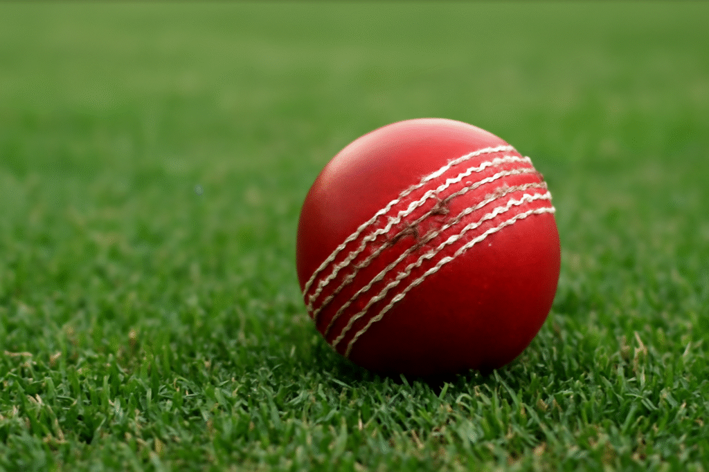 Cricket Ball
